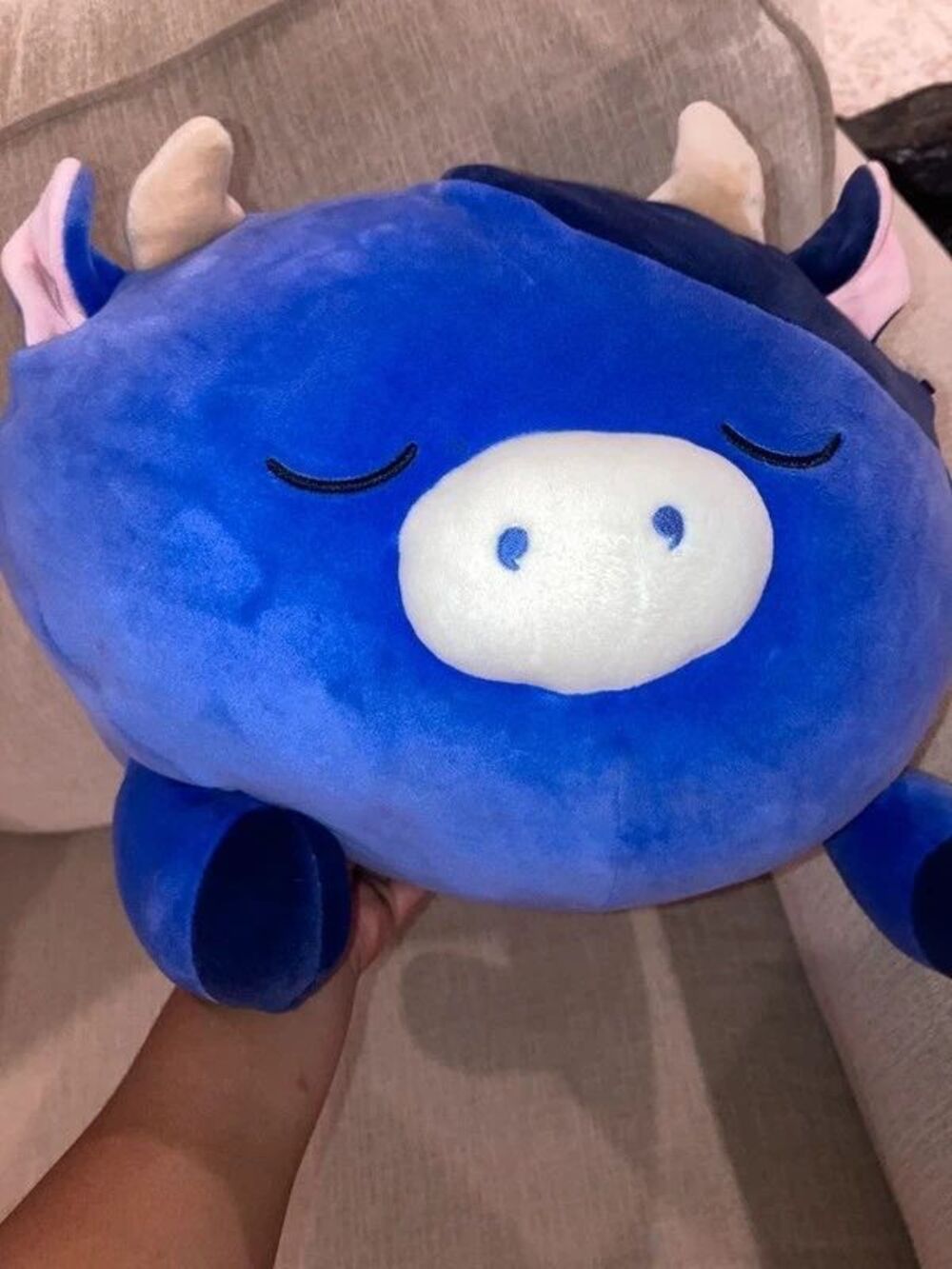 A purple blue cow sleep a mallow squishie stuffie stuffed animal